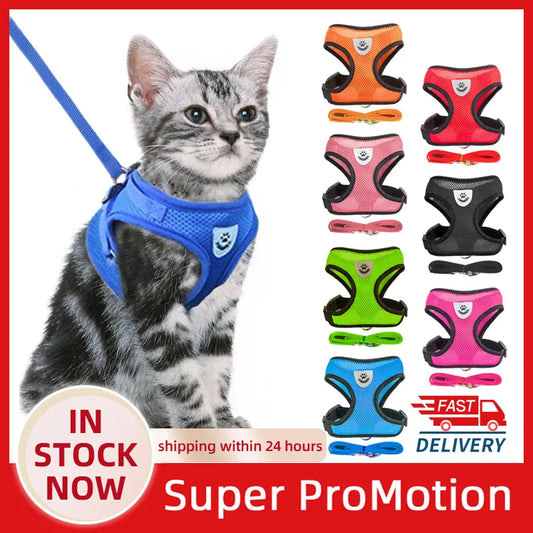 Walking leash for dogs and cats