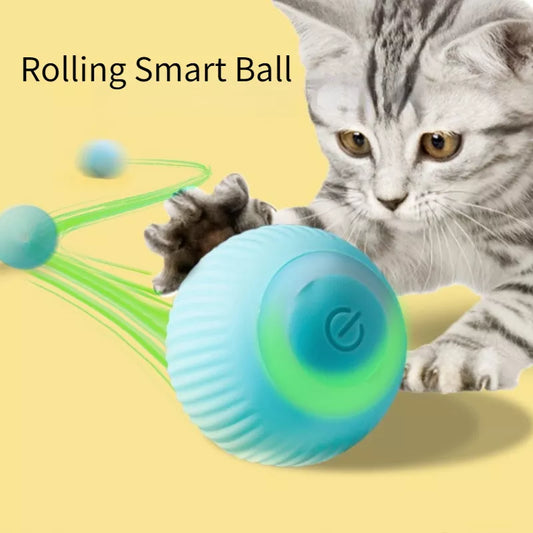 Automatic Rolling Ball Electric petsdar